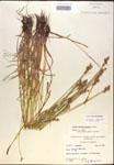 000017905-thumbnail.jpg