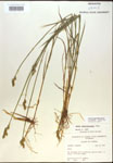 000017907-thumbnail.jpg
