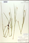 000017908-thumbnail.jpg