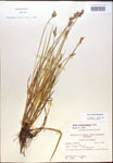 000017909-thumbnail.jpg