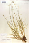 000017911-thumbnail.jpg