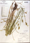 000017912-thumbnail.jpg