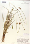 000017913-thumbnail.jpg