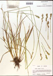 000017914-thumbnail.jpg
