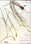 000017915-thumbnail.jpg