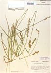 000017916-thumbnail.jpg