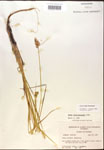 000017919-thumbnail.jpg