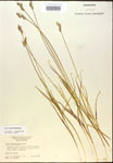 000017920-thumbnail.jpg