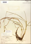 000017921-thumbnail.jpg