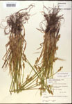 000017922-thumbnail.jpg