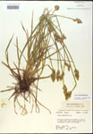 000017923-thumbnail.jpg