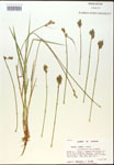 000017925-thumbnail.jpg