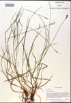 000017926-thumbnail.jpg