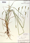 000017927-thumbnail.jpg