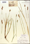 000017928-thumbnail.jpg