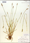000017929-thumbnail.jpg