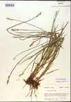 000017930-thumbnail.jpg