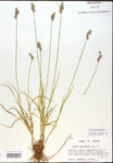 000017931-thumbnail.jpg