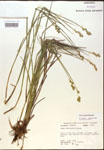000017932-thumbnail.jpg