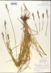 000017933-thumbnail.jpg