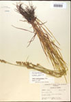 000017934-thumbnail.jpg