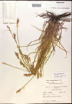 000017936-thumbnail.jpg