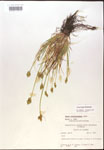 000017937-thumbnail.jpg