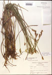 000017938-thumbnail.jpg