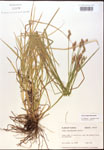 000017939-thumbnail.jpg
