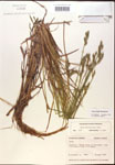 000017940-thumbnail.jpg
