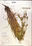 000017941-thumbnail.jpg