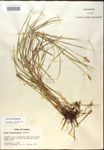 000017942-thumbnail.jpg