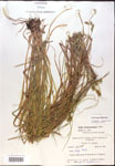 000017943-thumbnail.jpg