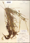 000017944-thumbnail.jpg