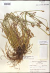 000017945-thumbnail.jpg