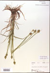 000017946-thumbnail.jpg