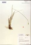 000017947-thumbnail.jpg