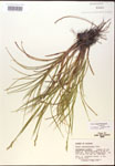 000017948-thumbnail.jpg