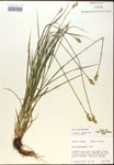 000017949-thumbnail.jpg