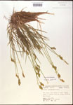 000017950-thumbnail.jpg