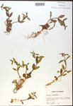 000017957-thumbnail.jpg