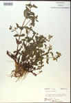 000017958-thumbnail.jpg