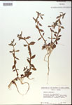 000017960-thumbnail.jpg