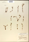 000017961-thumbnail.jpg
