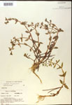 000017963-thumbnail.jpg