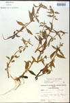 000017964-thumbnail.jpg