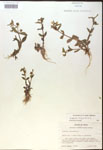 000017966-thumbnail.jpg