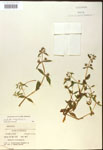 000017967-thumbnail.jpg