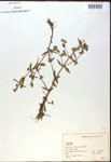 000017968-thumbnail.jpg