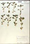 000017973-thumbnail.jpg